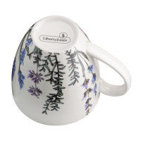 Набор кружек, 2 предмета, 325 мл, фарфор, декор, серия Floral, LIBERTY JONES, Россия_00810540062531452501.jpg