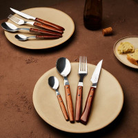 Нож столовый для стейка 110 мм, серия Steak Knives, ARCOS, Испания_00818460045542236153.jpg