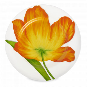 Тарелка обеденная, 27 см, костяной фарфор, белый, оранжевый, серия Freedom, TAITU, Италия, Красивые тарелки для сервировки