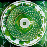 Пара кофейная, 100 мл, костяной фарфор, зеленый, серия Cactus, TAITU, Италия_00809500057939235477.jpg