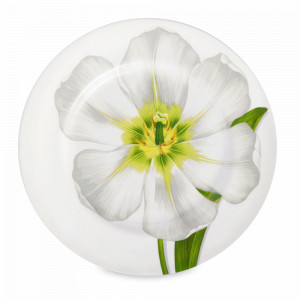 Тарелка обеденная, 27 см, костяной фарфор, белый, серия Freedom, TAITU, Италия, Скидка  до -20% на фарфор TAITU