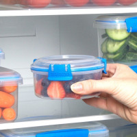 Контейнер круглый, 300 мл, пластик, синий, серия Fresh, SISTEMA, Новая Зеландия_00804140062365376247.jpg