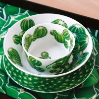 Салатник индивидуальный, 12,5 см, костяной фарфор, белый, зеленый, серия Cactus, TAITU, Италия_00809460057686906587.jpg