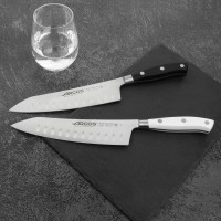 Нож поварской Сантоку, 18 см, серия Riviera Blanca, ARCOS, Испания_00816990062483921517.jpg