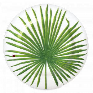 Блюдо сервировочное, 31,5 см, костяной фарфор, белый, зеленый, серия Freedom, TAITU, Италия, TAITU (Италия)