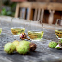 Набор из 2-х бокалов для белого вина CHARDONNAY/VIOGNIER, 320 мл, 9,6 см, хрусталь, серия O Wine Tumbler, RIEDEL, Австрия_00818680055646853666.jpg