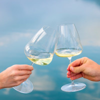 Набор из 2-х бокалов для игристых вин CHAMPAGNE, 740 мл, хрустальное стекло, серия Winewings, RIEDEL, Австрия_00823600042546927003.jpg
