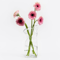 Ваза для цветов Body, 27 см, стекло, прозрачный, DOIY, Испания_00819740048156127623.jpg