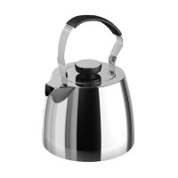 Чайник наплитный, 2,5 л, нержавеющая сталь 18/10, серебристый, VITAX, Великобритания_00810570042970505156.jpg