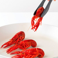 Щипцы кухонные, 29,5 см, нейлон, серый, серия Tasty+, BRABANTIA, Бельгия_00801470061882417859.jpg