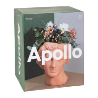 Ваза для цветов Apollo, 23.4 см, керамика, терракотовый, DOIY, Испания_00819740048056757978.jpg