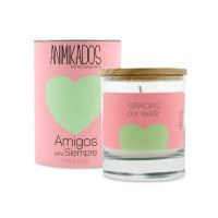 Ароматическая свеча «Красные ягоды», в стеклянном стакане, воск, AMBIENTAIR, Испания