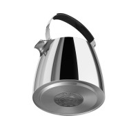 Чайник наплитный, 2,5 л, нержавеющая сталь 18/10, серебристый, VITAX, Великобритания_00810570042975527881.jpg