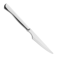 Нож столовый для стейка 110 мм, серия Steak Knives, ARCOS, Испания_00823910045272358631.jpg