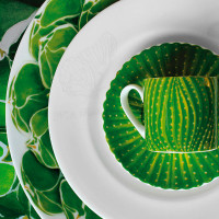 Пара кофейная, 100 мл, костяной фарфор, зеленый, серия Cactus, TAITU, Италия_00809500057874226690.jpg