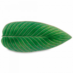 Блюдо сервировочное Tomate, 40 х 17 см, керамика, зеленый, серия Riviera, COSTA NOVA, Португалия, Блюда сервировочные, менажницы