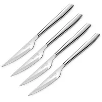 Набор из 4-х ножей для стейка, 10 см, стальная рукоять, серия Brasserie, TARRERIAS BONJEAN, Франция, 