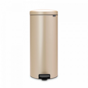 Контейнер для мусора, 30 л, нержавеющая сталь, шампань, серия NewIcon, BRABANTIA, Бельгия, Скидка до -20% на мусорные ведра Brabantia