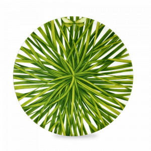 Тарелка десертная, 21.5 см, костяной фарфор, белый, зеленый, серия Life in green, TAITU, Италия, Скидка  до -20% на фарфор TAITU