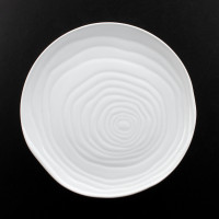 Тарелка пирожковая, диаметр 16,5 см, фарфор, серия Teck, PILLIVUYT, Франция_00812920065219441915.jpg