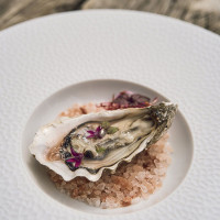 Тарелка для пасты с широким бортом FRAGMENTS BLANC, 30 см, фарфор, белый, рельеф, серия Collection L, GUY DEGRENNE, Франция_00810280035369958324.jpg