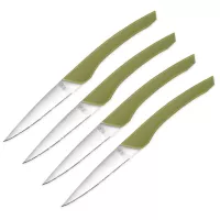 Набор из 4-х ножей для стейка 10.5 см, зеленая ручка, серия Augusta, TARRERIAS BONJEAN, Франция, 