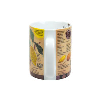 Кружка «Какао», 490 мл, фарфор, декор, KOENITZ, Германия_00817070059116172751.jpg