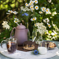 Набор молочник и сахарница с ложкой, боросиликатное стекло, пробка, серия Classic, VIVA Scandinavia, Дания_00803040056881234261.jpg