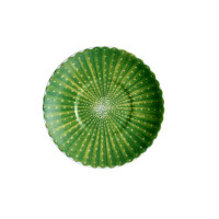 Пара кофейная, 100 мл, костяной фарфор, зеленый, серия Cactus, TAITU, Италия_00809460057781174026.jpg