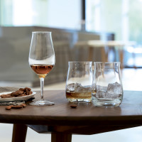 Набор из 2-х бокалов для виски Whisky Snifter Premium, 280 мл, хрустальное стекло, серия Special Glasses, SPIEGELAU, Германия_00799420059081665611.jpg