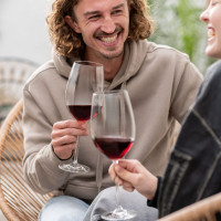 Набор из 4-х бокалов для красного вина, 768 мл., серия Vinos, SCHOTT ZWIESEL, Германия_00822740055491342948.jpg