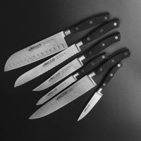 Набор из 6-ти кухонных ножей на подставке из дуба, серия Manhattan, ARCOS, Испания_00800850039295157690.jpg