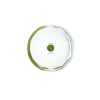 Салатник индивидуальный, 12,5 см, костяной фарфор, белый, зеленый, серия Cactus, TAITU, Италия_00809460057669021976.jpg