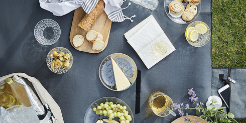 Посуда для пикника