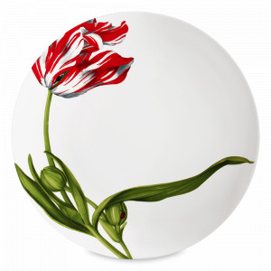 Тарелка обеденная, 28 см, костяной фарфор, белый, серия Emotion, TAITU, Италия, Тарелки красные