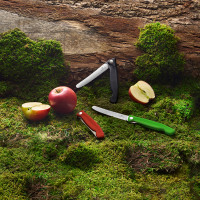 Нож складной для овощей SwissClassic 11 см, VICTORINOX, Швейцария_00803430067258096632.jpg