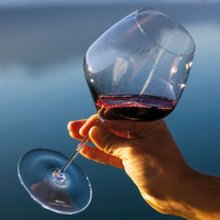 Набор из 2-х бокалов для красного вина PINOT NOIR / NEBBIOLO, 763 мл, 24.7 см, хрусталь, серия Veloce, RIEDEL, Австрия_00818690039117498589.jpg