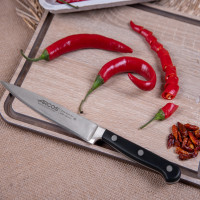 Набор кухонных ножей 