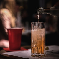 Набор из 2-х бокалов для коктейля FIZZ, 265 мл, 16,3 см, хрусталь, серия Riedel Bar, RIEDEL, Австрия_00799700047225523638.jpg
