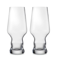 Набор из 2-х бокалов для пива, 450 мл, бессвинцовый хрусталь, серия Craft Beer Experts, EISCH, Германия