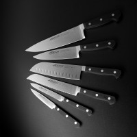 Набор из 6-ти кухонных ножей на подставке из дуба, серия Clasica, ARCOS, Испания_00800780062975541585.jpg