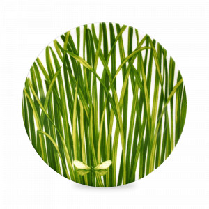 Тарелка пирожковая, 17 см, костяной фарфор, белый, зеленый, серия Life in green, TAITU, Италия, Тарелки хлебные