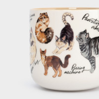Кружка «Коты», 400 мл, фарфор, белый, бежевый, серия Pets, ANNA LAFARG, Китай_00822620048198038336.jpg