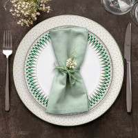 Сервиз обеденный на 12 персон Изумруд, 50 предметов, костяной фарфор, белый, зеленый, серия Emily, ANNA LAFARG, Китай_00812610052700709857.jpg