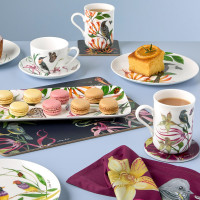 Кружка Медосос Бородавчатый, 330 мл, фарфор, белый, декор, серия Lyric, MAXWELL WILLIAMS, Австралия_00822650052052045215.jpg