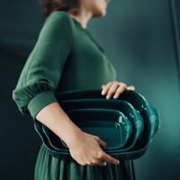 Форма для запекания прямоугольная, 30 x 19 см, керамика, цвет: кедр, EMILE HENRY, Франция_00820220043619776270.jpg