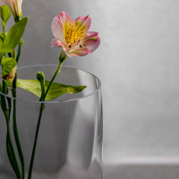 Ваза Романтика, 30 см, стекло, KROSNO, Польша_00813890073944951338.jpg