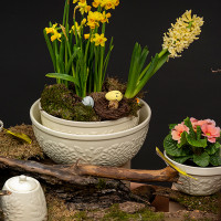 Салатник , 17 см, 850 мл, керамика, кремовый, серия Birds of Paradise, LIBERTY JONES, Россия_00812580065802467080.jpg