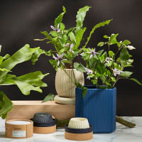 Свеча ароматическая Sandalwood, Bergamot & Citrus, 8 см, серый, серия Edge, TKANO, Россия_00813870053481845314.jpg