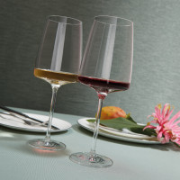 Набор бокалов для вин Fruity & Delicate, объем 535 мл, 2 шт, серия Vivid Senses, ZWIESEL GLAS, Германия_00804340079309267491.jpg
